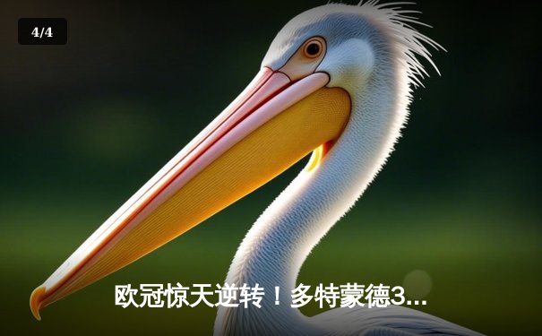 欧冠惊天逆转！多特蒙德3:2绝杀马竞，罗伊斯传射建功助球队挺进四强 - 4